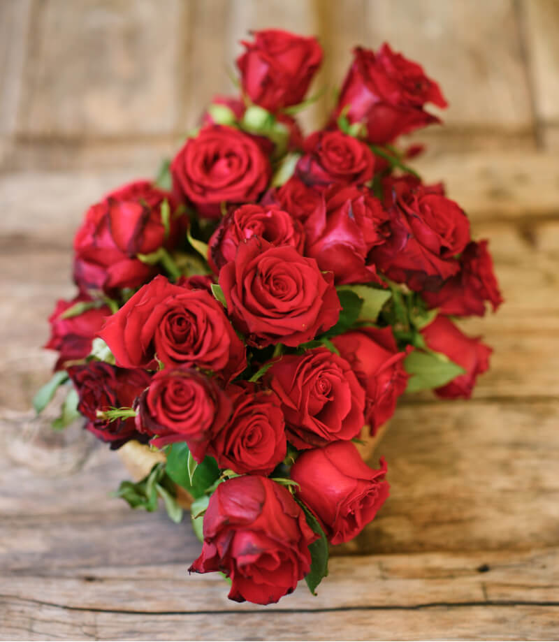 Red Rose:圖片 2
